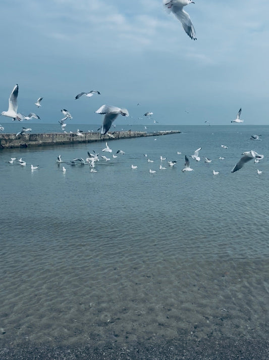 A Free Fall — and Finding Your Way Back